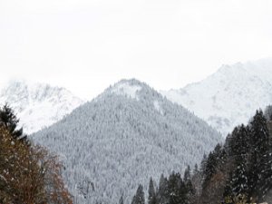 Ayder Yaylası’nın Yüksek Kesimlerine Mevsimin İlk Karı Yağdı
