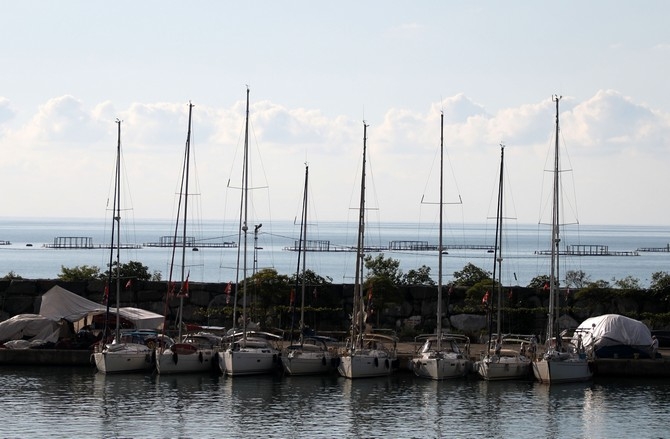 DADD Ralli Karadeniz 2022 etkinliği kapsamında 22 yelkenli yat Rize' galerisi resim 5