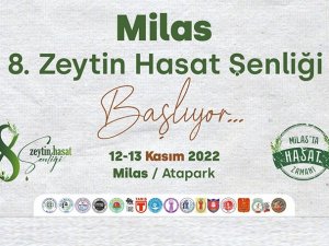 Milas’ta Bu Hafta Sonu Zeytin Hasat Şenliği Düzenlenecek
