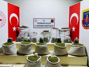 Lice Kırsalında 167 Kilo Esrar Ve 83 Kilo Kubar Skunk Maddesi Ele Geçirildi