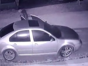 Otomobildeki Davetsiz Misafir Hem Korkuttu Hem Gülümsetti