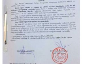 Adli Tıp ’Ak Parti Trabzon Milletvekili Isırıldı’ Dedi