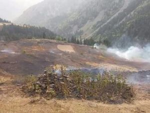 Artvin’de Korkutan Yangın