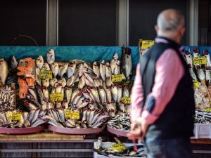 İstanbul’da Balık Fiyatları Cep Yakıyor