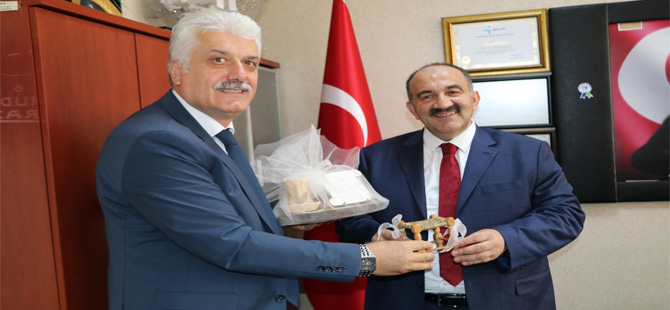Mezunların En Yüksek Oranda İstihdam Edildiği İl Rize