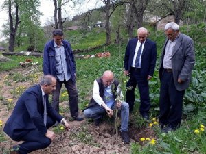 Yok Olmadan Kurtarıldılar