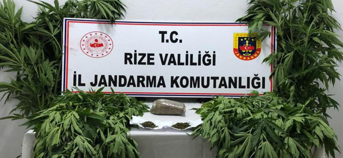 Rize'de Uyuşturucu Operasyonu