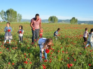 Muş Ovası Kırmızıya Büründü