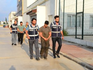 Köpeğine Sokak Kedisini Parçalattı, ”Hayvan Severim” Diye Kendini Savundu
