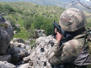 Tunceli’de 5 Terörist Etkisiz Hale Getirildi