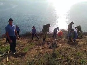 Burgazada’da Yanan Alanlar ‘Geleceğe Nefes Ol’ Projesi Kapsamında Ağaçlandırıldı