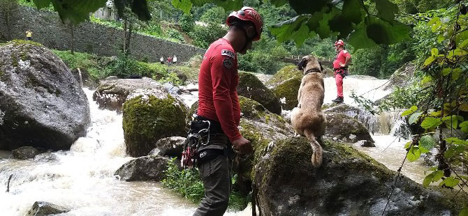 Rize'de Taşan Derede Mahsur Kalan Köpek AKUT Ekiplerince Kurtarıldı