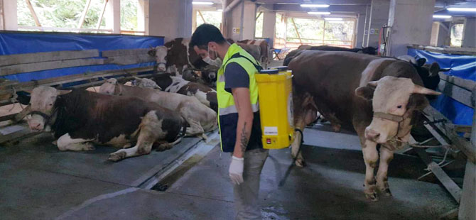 Rize'de Kurban Satış Yeri ve Kesim Ücretleri Belli Oldu
