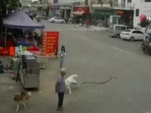 Köpek Tasması Ayağına Takılıp Düşen Yaşlı Kadın Öldü