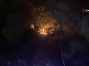 Fethiye’de Orman Yangını
