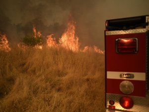 California’daki Orman Yangınları İçin Avustralya Ve Kanada’dan Yardım Talebi