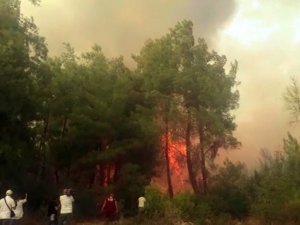 Antalya’daki Orman Yangını Devam Ediyor