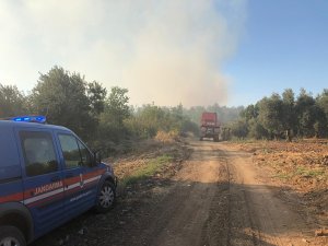 Bursa’da Orman Yangını