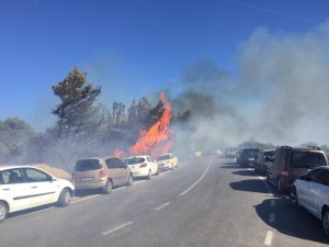 İzmir’de Yangın Dehşeti: Otluk Alanda Çıkan Yangında Onlarca Araç Alev Alev Yandı