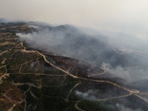 Kül Olan Yüzlerce Hektar Kızılçam Ormanı Havadan Böyle Görüntülendi
