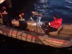Kadıköy’de Balıkçı Misinasına Takılan 2 Martı Kurtarıldı