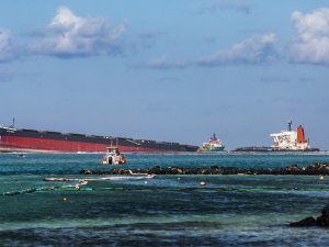Mauritius’taki Petrol Faciası Ekosistemi Tehdit Ediyor: 17 Yunus Ölü Bulundu