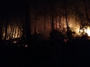 Göcek’teki Orman Yangını Kontrol Altına Alındı