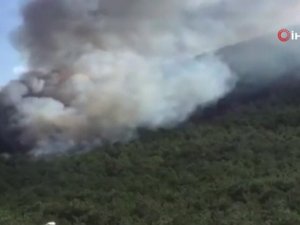 İstanbul Kayışdağı’ndaki Orman Yangınına İtfaiye Ekipleri Müdahale Ediyor