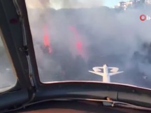 Maltepe’de Orman Yangını İle İlgili Bir Kişi Gözaltına Alındı