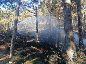 Maltepe’deki Orman Yangını Kontrol Altına Alındı