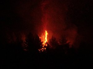 Uşak’ta Çıkan Orman Yangını Paniğe Neden Oldu