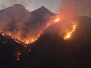 Adana’daki Orman Yangını Havadan Görüntülendi