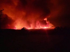 Ankara’da Orman Yangını