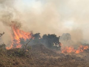 Bingöl’de 2 Bölgede Orman Yangını