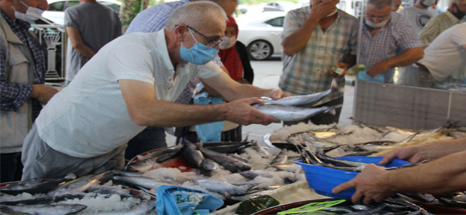 Rize’de Balık Tezgahlarında Palamut İzdihamı