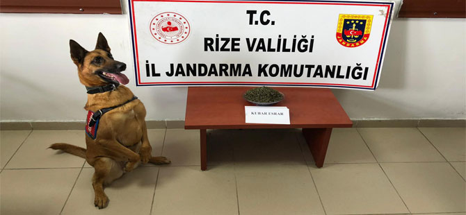 Rize'de 121 Gram Kubar Esrar Ele Geçirildi