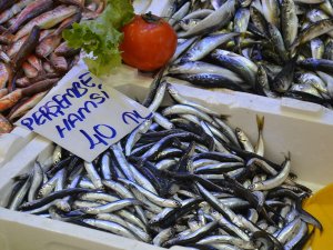 Hamsi Kırmızı Etle Yarışıyor: Fiyatı 40 Lira