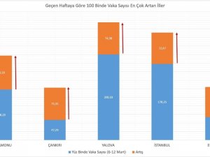 İşte Son Hafta Vaka Oranı En Çok Artan Ve Azalan İller