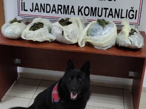 Adana’da Uyuşturucu Operasyonu: 1 Gözaltı
