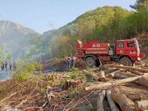 Hatay’da Çıkan Orman Yangını Söndürüldü