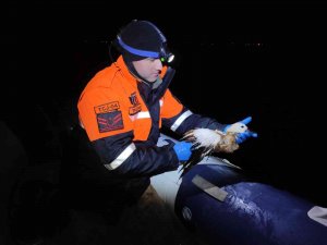 Jandarma Yaralı Yavru Ördeği Hayvan Hastanesine Teslim Etti