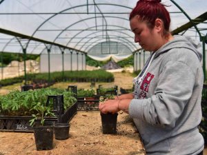 Kuaförlük Yaparken Çiftçiliğe Geçti, 28 Yaşında Görenleri Hayran Bıraktı