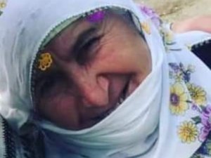 Ordu’da Üzerine Kütük Devrilen Kadın Hayatını Kaybetti