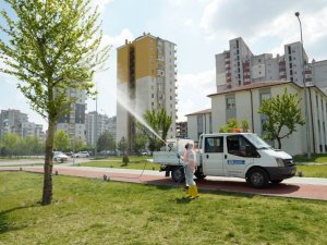 Altınoluk Ve Yeniköy Mahallelerinde Toplu Temizlik Yapıldı
