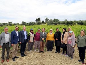 Akdeniz Belediyesi, Çiftçilere Verimli Gübre Kullanımı Semineri Başlatıyor
