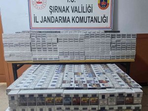 Şırnak’ta Terörün Finans Kaynaklarına Operasyon: 61 Gözaltı