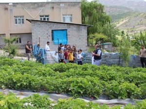 Şırnak’ta Faaliyete Giren Projelerle Ailelerin Ekonomisine Katkı Sağlanıyor