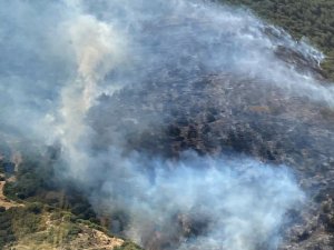 İ̇zmir’deki Orman Yangını 149 Dakikada Kontrol Altına Alındı