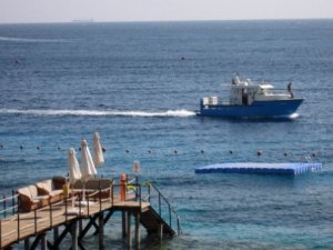 Mısır’ın Kızıldeniz Sahilinde Köpekbalığı Saldırısında 2. Ölüm