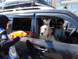 Sinop Valisi, Bakan Soylu’ya Bayram Tedbirlerini Anlattı